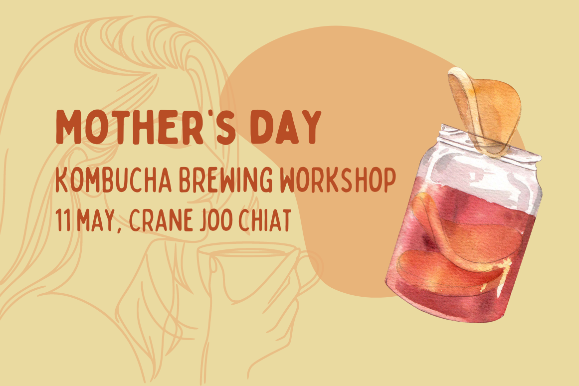 Mother's Day Kombucha Brewing Workshop