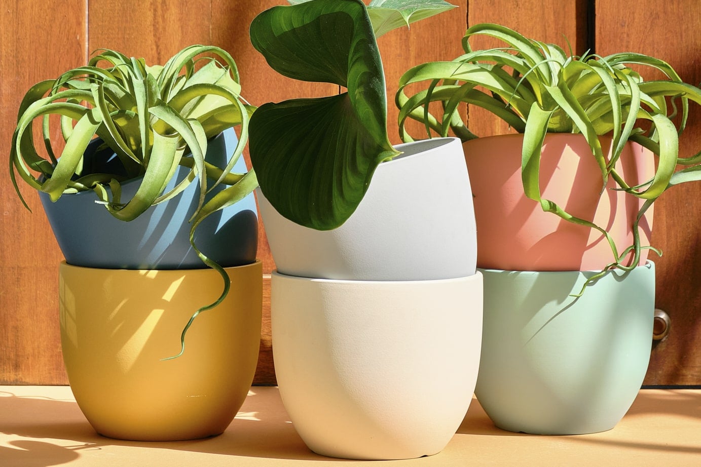 Morandi Plant Pots Collection